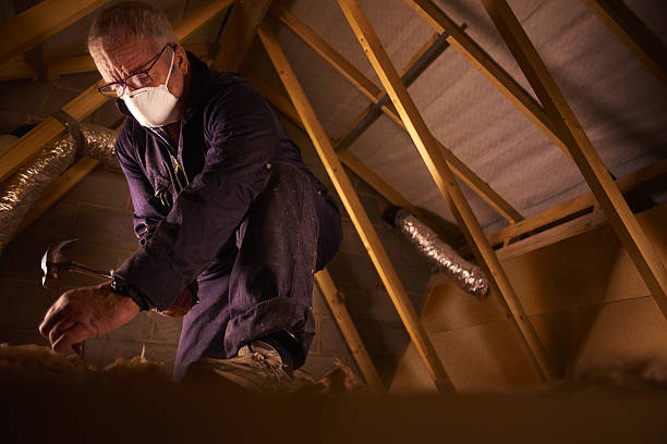 Best Specialized Insulation Services in Wildwood, TN
